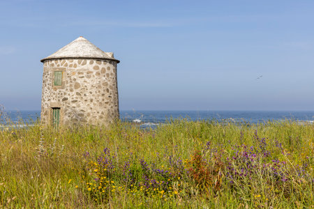 The image shows a stone tower, possibly a former windmill, standing in a field of tall, dry grass and wildflowers. The tower is cylindrical with a conical roof.の写真素材