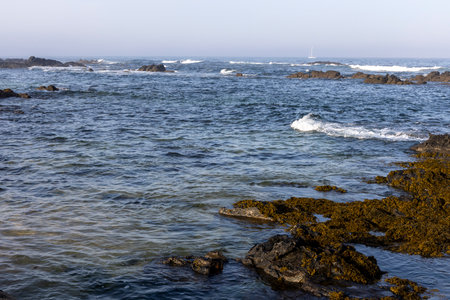 The image depicts a coastal scene with a focus on the water's surface and rocky shoreline. The water...