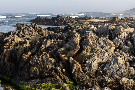 The image shows a close-up view of a rocky coastline.  The rocks are dark brown and gray, with varied textures and shapes.  Some rocks are smooth, while others are rough and jagged.の写真素材
