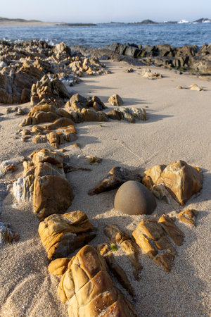 The image shows a close-up view of various rocks and pebbles scattered on a sandy beach. The rocks are predominantly light brown and tan, exhibiting various shapes and sizes.の写真素材