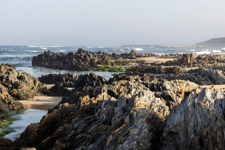 The image shows a section of rocky coastline with the ocean in the background. The foreground is dominated by dark-colored, textured rocks of varying sizes and shapes.の写真素材