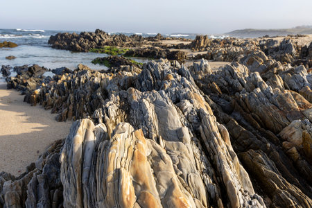 The image shows a detailed close-up view of a coastal rock formation.  The rocks are predominantly...