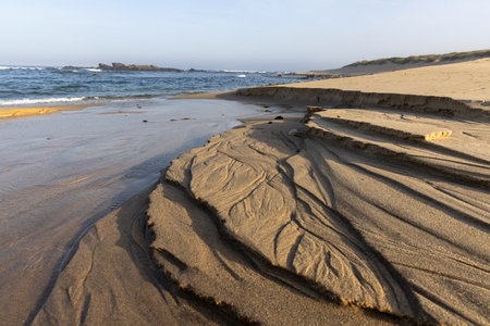 High-angle, long shot of a riverbank exhibiting significant erosion and sedimentation. The image shows intricate patterns of dark and light brown sediment deposited along the riverbank.の写真素材