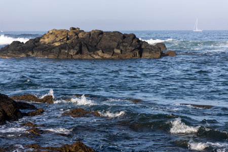 The image shows a landscape-oriented photograph of a rocky outcrop in the ocean. The rocks are dark...