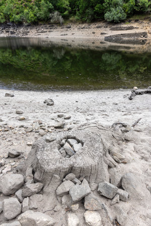 High-angle, close-up view of a riverbank showing a predominantly grey and white expanse of sediment and debris.  The texture is coarse and granular, with a variety of  rocks and stones.の写真素材