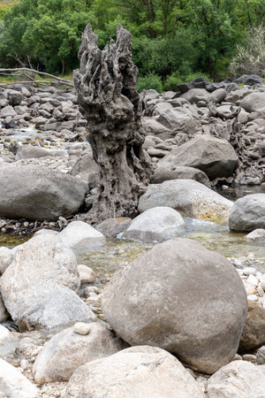 The image presents a close-up view of a shallow stream or riverbed.  The foreground is dominated by a variety of grey and off-white river rocks, varying in size and shape.の写真素材