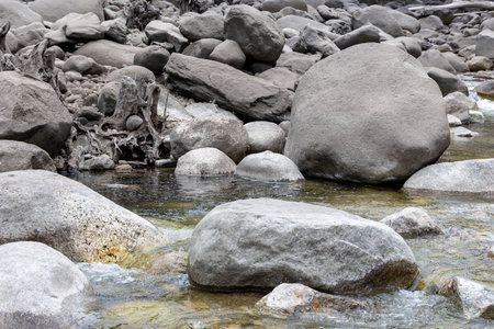The image presents a close-up view of a shallow riverbed.  The composition focuses on a collection of various sized grey and dark grey rocks partially submerged in clear, shallow water.の写真素材