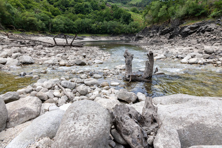 High-angle, close-up view of a rocky streambed with shallow, clear water flowing through it.The stream is narrow.の写真素材