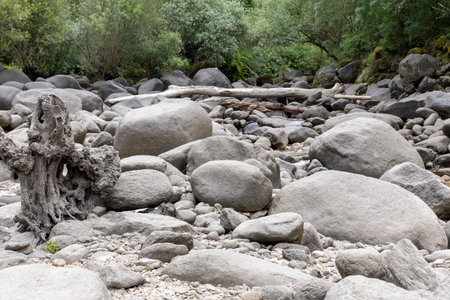 The image presents a high-angle, wide shot of a riverbed strewn with numerous large, grey boulders of varying sizes and shapes.の写真素材