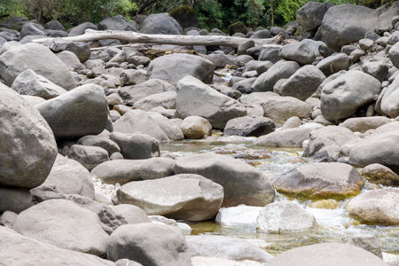 The image presents a close-up view of a shallow stream flowing over a bed of predominantly grey and light grey rocks and boulders of varying sizes and shapes. The water appears relatively clear.の写真素材