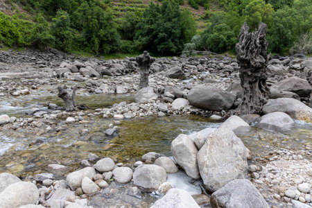 The image presents a high-angle, full shot of a dried riverbed. The foreground is dominated by a collection of various sized, light grey and white rocks, pebbles, and gravel.の写真素材