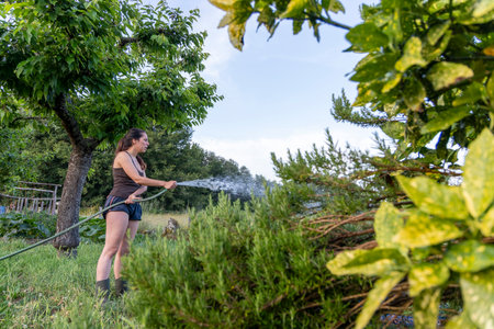 The image shows a woman standing in a garden, holding a garden hose and watering plants.  The setting appears to be outdoors on a sunny day. The woman is wearing casual clothing.の写真素材