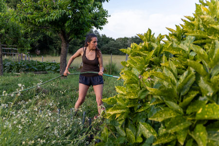 The image shows a woman in shorts and a t-shirt watering plants in a garden with a hose. The setting appears to be outdoors on a sunny day. The woman is actively engaged in the task.の写真素材