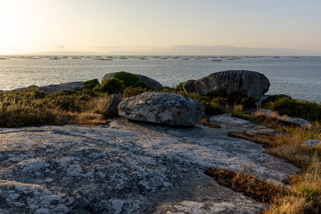 A rocky shoreline with a body of water in the background. The rocks are scattered around the shoreline, and the water is calm. The scene has a peaceful and serene mood.の写真素材