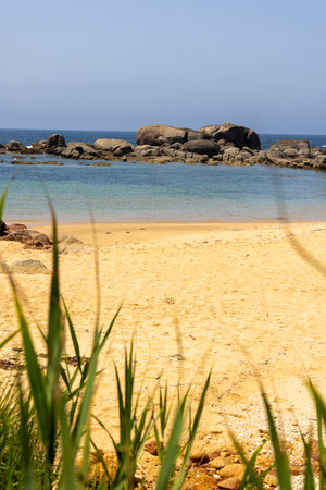 A beach with a rocky shoreline and a body of water. The beach is mostly covered in tall grassの写真素材