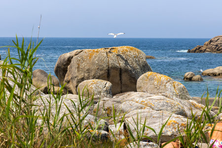 A person is laying on the beach next to a large rock. The rock is surrounded by tall grass and the ocean is in the background.の写真素材