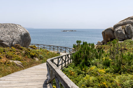 A wooden walkway leads to the ocean. The walkway is surrounded by rocks and bushes. The ocean is calm and blueの写真素材