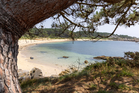A beach with a body of water in the background. The water is clear and calm. The beach is sandy and there are some rocks in the water. The scene is peaceful and sereneの写真素材