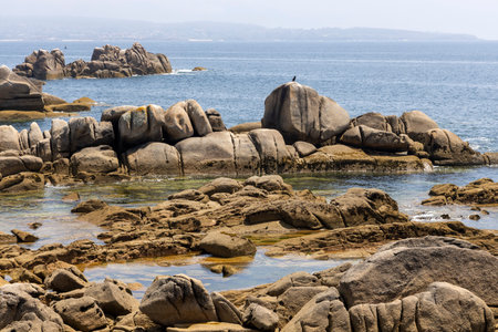 A rocky shoreline with a body of water in the background. The water is calm and the shoreline is covered in grass and weedsの写真素材