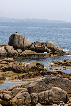 A rocky shoreline with a body of water in the background. The water is calm and the shoreline is covered in grass and weedsの写真素材