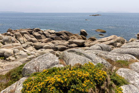 A rocky shoreline with a body of water in the background. The water is calm and the shoreline is covered in grass and weedsの写真素材