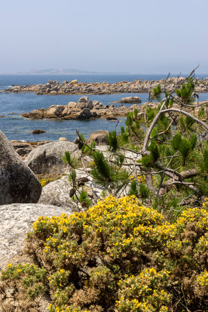A rocky shoreline with a body of water in the background. The rocks are large and jagged, and the grass is lush and green.の写真素材