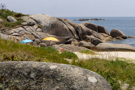 A rocky shoreline with a small patch of green grass and yellow flowers. The flowers are small and scattered, and the grass is sparse. Scene is peaceful and serene, with the ocean in the backgroundの写真素材