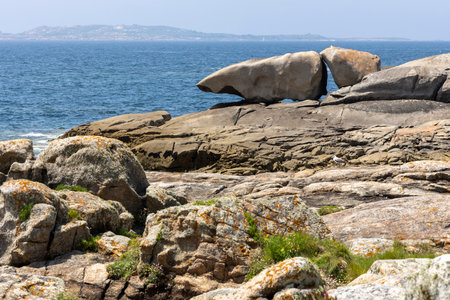 A bird is perched on a rock in front of a large rock formation. The scene is serene and peaceful, with the bird being the only living creature in the areaの写真素材