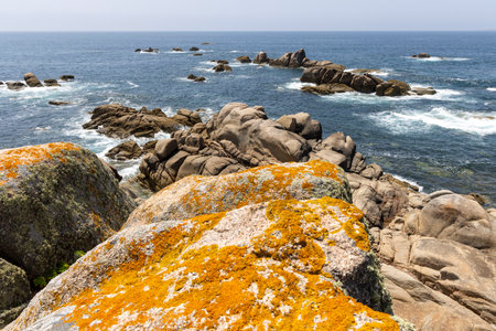 A rocky shoreline with a calm ocean in the background. The rocks are scattered across the beach, creating a rugged and natural landscape. Concept of tranquility and serenityの写真素材