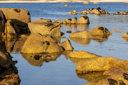 A rocky shoreline with a body of water in the background. The water is calm and the rocks are scattered throughout the sceneの写真素材