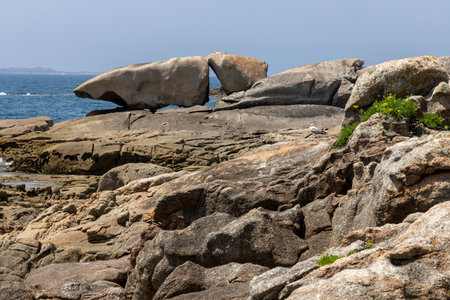 A bird is perched on a rock in front of a large rock formation. The scene is serene and peaceful, with the bird being the only living creature in the areaの写真素材