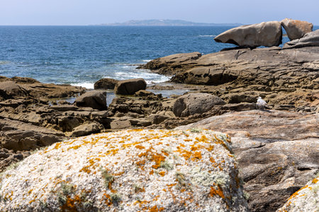 A bird is perched on a rock in front of a large rock formation. The scene is serene and peaceful, with the bird being the only living creature in the areaの写真素材