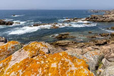 A rocky shoreline with a calm ocean in the background. The rocks are scattered across the beach, creating a rugged and natural landscape. Concept of tranquility and serenityの写真素材
