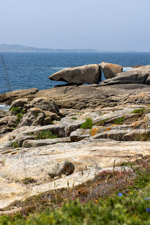 A bird is perched on a rock in front of a large rock formation. The scene is serene and peaceful, with the bird being the only living creature in the areaの写真素材