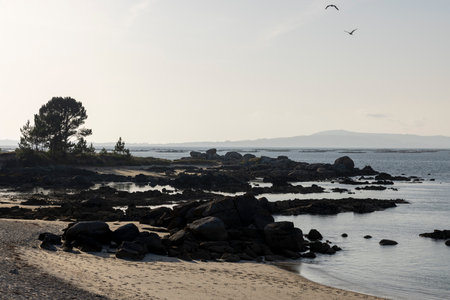 A rocky beach with a body of water in the background. The water is calm and the rocks are scattered throughout the beach. The sky is overcast, giving the scene a somewhat somber moodの写真素材