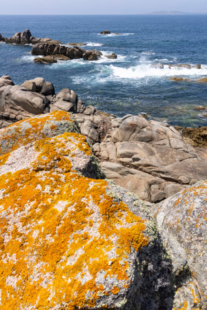 A rocky shoreline with a calm ocean in the background. The rocks are scattered across the beach, creating a rugged and natural landscape. Concept of tranquility and serenityの写真素材