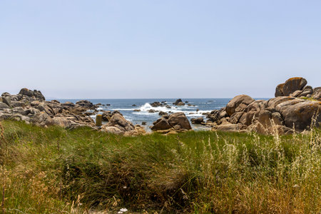 A rocky beach with a body of water in the background. The beach is covered in grass and rocksの写真素材