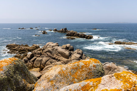 A rocky shoreline with a calm ocean in the background. The rocks are scattered across the beach, creating a rugged and natural landscape. Concept of tranquility and serenityの写真素材