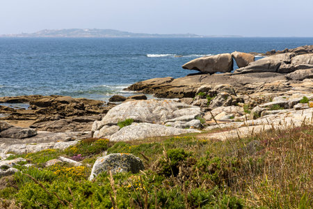A rocky beach with a body of water in the background. The beach is covered in grass and rocksの写真素材