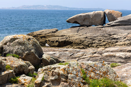A bird is perched on a rock in front of a large rock formation. The scene is serene and peaceful, with the bird being the only living creature in the areaの写真素材