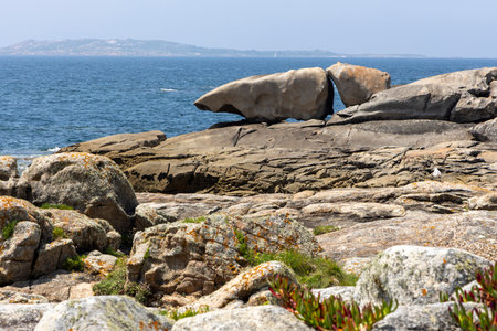 A bird is perched on a rock in front of a large rock formation. The scene is serene and peaceful, with the bird being the only living creature in the areaの写真素材