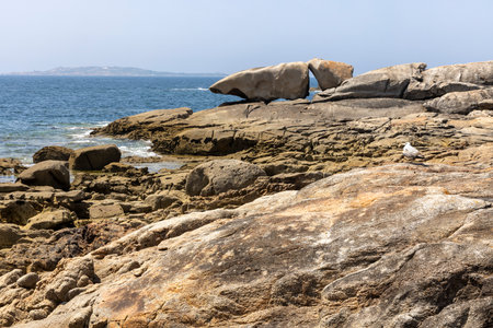 A bird is perched on a rock in front of a large rock formation. The scene is serene and peaceful, with the bird being the only living creature in the areaの写真素材