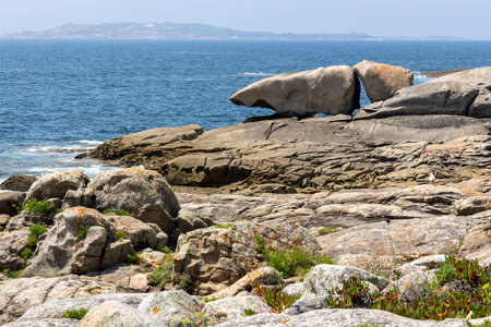 A bird is perched on a rock in front of a large rock formation. The scene is serene and peaceful, with the bird being the only living creature in the areaの写真素材