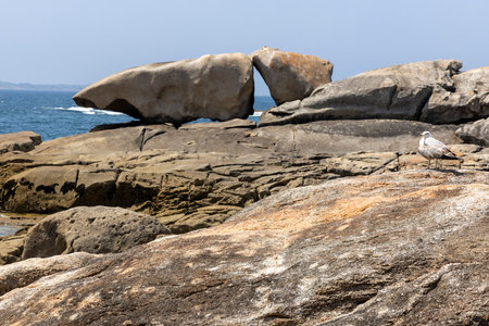 A bird is perched on a rock in front of a large rock formation. The scene is serene and peaceful, with the bird being the only living creature in the areaの写真素材