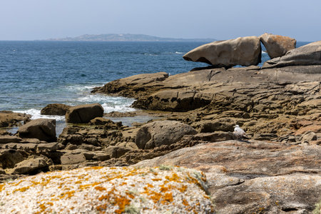 A bird is perched on a rock in front of a large rock formation. The scene is serene and peaceful, with the bird being the only living creature in the areaの写真素材