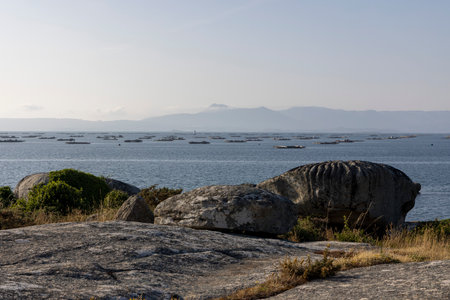 A rocky shoreline with a large mussels farm in the background. The water is calm and the sky is clearの写真素材