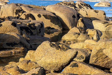 A rocky shoreline with a body of water in the background. The water is calm and the rocks are scattered throughout the sceneの写真素材