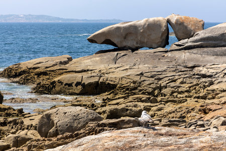 A bird is perched on a rock in front of a large rock formation. The scene is serene and peaceful, with the bird being the only living creature in the areaの写真素材