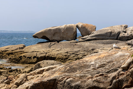 A bird is perched on a rock in front of a large rock formation. The scene is serene and peaceful, with the bird being the only living creature in the areaの写真素材