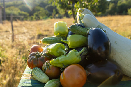 A person is holding a basket of vegetables, including tomatoes, cucumbers, and squash. The basket is overflowing with a variety of colorful vegetables, creating a vibrant and healthy sceneの写真素材